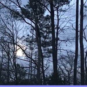 Meet your Posher, Lynn